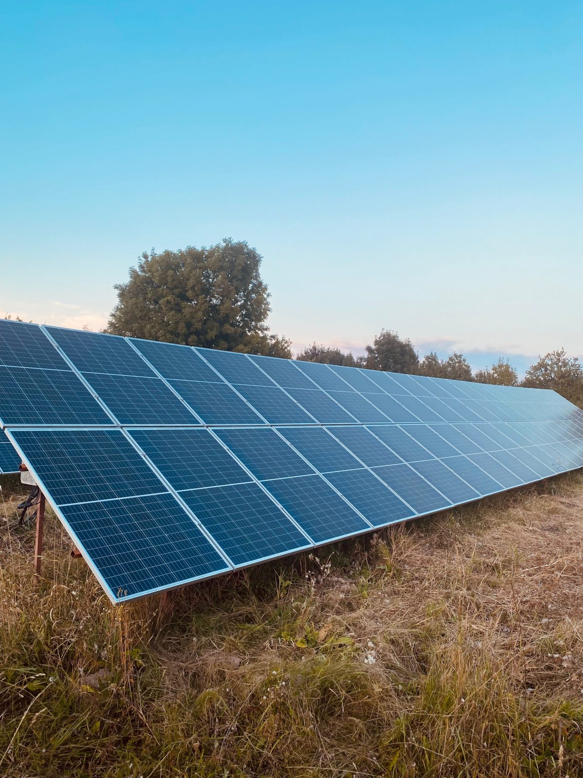 File di moduli fotovoltaici installati a terra in un campo, al tramonto